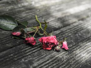 Tirolerin verliert durch “Love-Scam” über 350.000 Euro