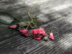 Tirolerin verliert durch “Love-Scam” über 350.000 Euro