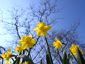 Zweitwärmster März in Europa seit Messbeginn