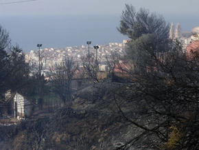 "Guru" von Waldgemeinschaft in Italien festgenommen