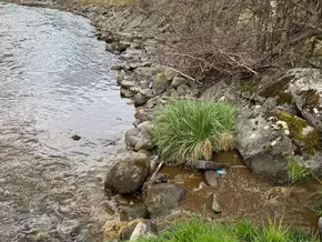 Erneute Gülle-Einleitung in einem Bach