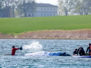 Tierschützer für Tötung des Buckelwals