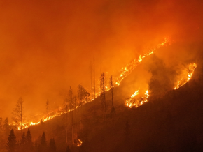 Feuerwehren kämpfen im Kärntner Lesachtal gegen Waldbrand