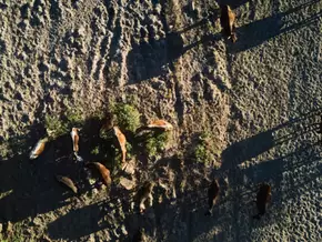 El Niño kündigt sich an - Experten warnen vor Extremwetter