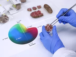 Landesprogramm für Forschung und Innovation 2026 gutgeheißen
