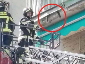 Bozen: Hündin ist in Balkon-Notlage geraten