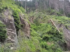 Borkenkäfer-Schaden führt zu Straßensperre in Dolomiten-Tal