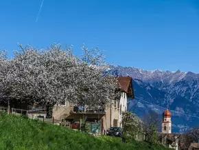 Temperaturen im April kratzten an der 30-Grad-Marke