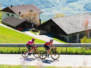 Touristiker im Vinschgau ziehen nach Tour of the Alps positive Bilanz