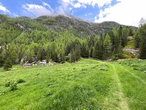 “Man hat uns nie gefragt”