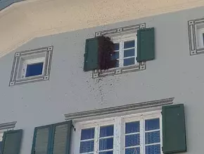 Ausgebüxter Bienenschwarm lässt Herz von Touristen und Anrainern höher schlagen
