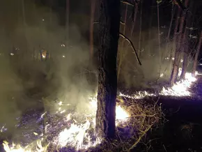 Waldbrand zwischen Prad und Spondinig