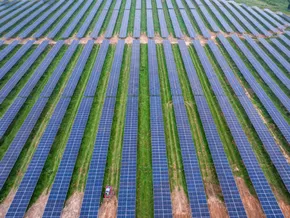 Europas Solarindustrie begrüßt Förderstopp für Huawei