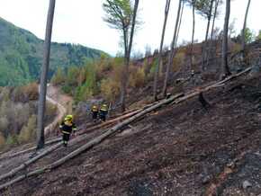Waldbrand bei Graz – “Brand aus” weiterhin nicht in Sicht