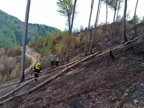 Waldbrand bei Graz - "Brand aus" weiterhin nicht in Sicht