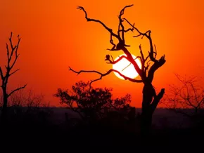 Mordermittlungen um zwei tote Safari-Touristen in Südafrika
