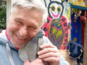 Brieftaube zum Kuscheln