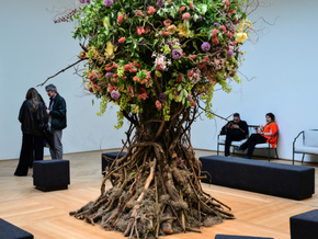 Kunstbiennale Venedig spaltet Regierung in Italien