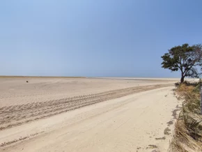 Abholzung in Brasiliens Amazonasgebiet gesunken