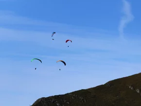 Paragleiterin kollidiert mit Kleinflugzeug