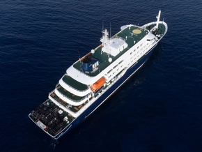 Hantavirus auf Schiff wohl von Mensch zu Mensch übertragen
