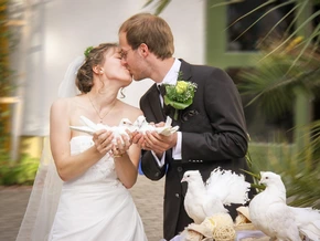 Tierschützer kritisieren Hochzeitstauben als „romantisches Tierleid“