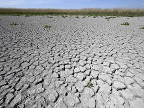 Plattform fordert echtes Klimagesetz für wirksamen Klimaschutz