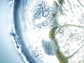 Trinkwasser mit Aroma? - Das solltet ihr beachten