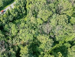 Greenwashing-Verbot tritt im Herbst in Kraft