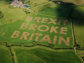 10 Jahre Brexit: Protest in Wiese gemäht - VIDEO
