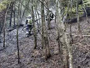 Waldbrand in Afers unter Kontrolle