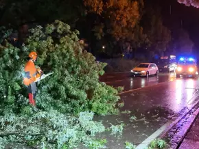Heftiges Gewitter sorgt für nächtliche Feuerwehreinsätze in Bozen