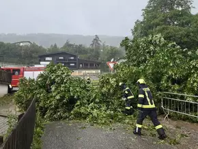 Hitzegewitter bescheren Feuerwehren erneut Arbeit