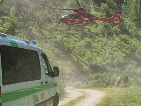 Mann stürzt bei Drohnenbergung von Baum
