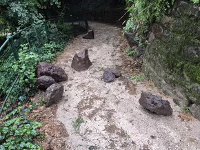 Bozen: Wegen Steinschlags ist ein Abschnitt der Oswaldpromenade gesperrt