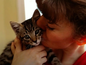 Experte klärt auf: So ticken Katzenliebhaber - VIDEO