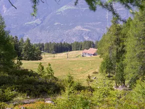 Kritik an Ausbauplänen auf der Tarscher Alm