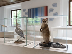 Tiroler Landesmuseen-Ausstellung zeigt flexible Natur
