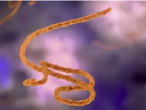 Ebola: Sanitätsbetrieb erinnert an Pflichten für Einreisende aus der Republik Kongo und Uganda
