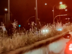 Verkehrschaos: Polizeipferde büxen aus