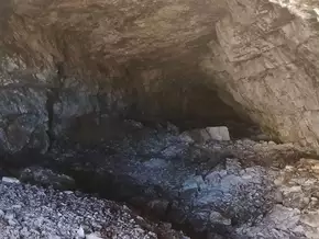 Paläontologische Sensation in den Dolomiten