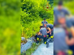 Belluno: Feuerwehr rettet ausgesetzte Welpen aus Abwasserschacht