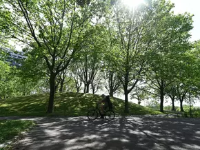 Burschen nach Angriff auf Ehepaar in Wiener Park gefasst