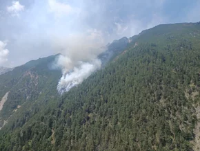 "Nur mehr einzelne Glutnester" bei Waldbrand in Tirol