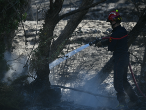 12.000 Menschen wegen Waldbrand in Pyrenäen evakuiert
