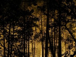 Riesiger Waldbrand im Süden von Paris