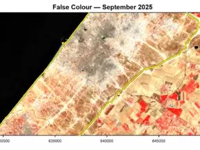 Krieg in Gaza zerstört auch Vegetation