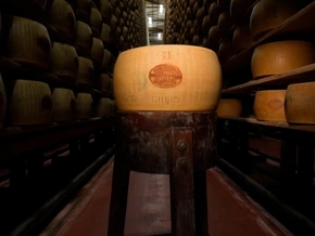 Hitze wird zum Problem für Parmesan-Produktion
