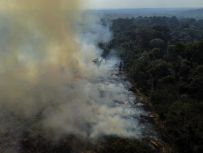 Weniger Waldbrände im Amazonas 2025