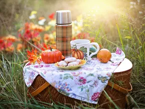 Was passt fürs Picknick "ohne Kühlschrank"?